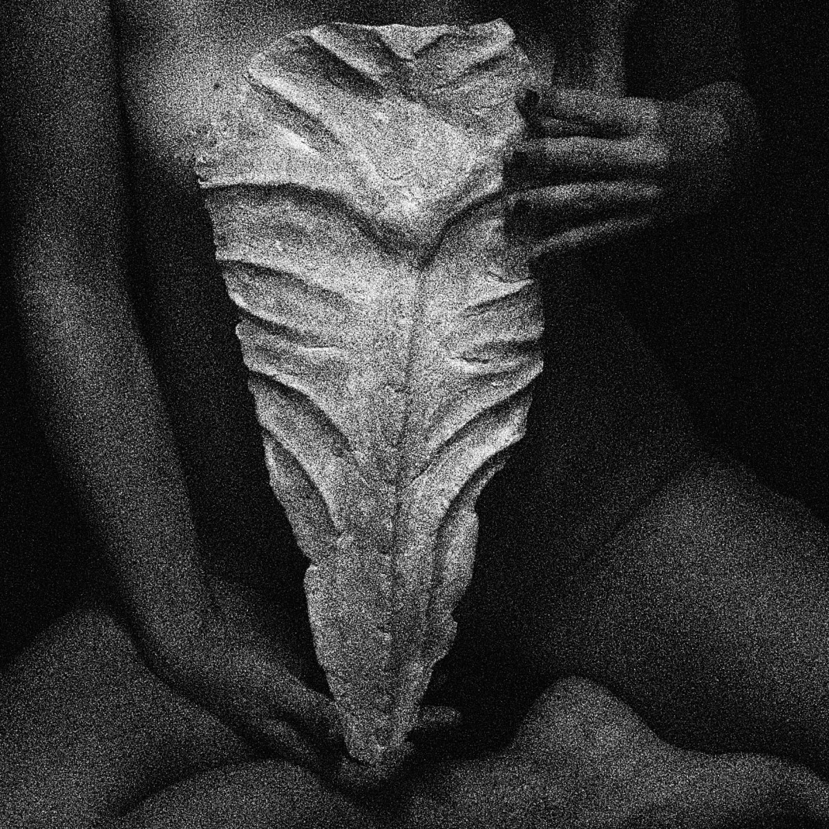 Attiva dell'Arte