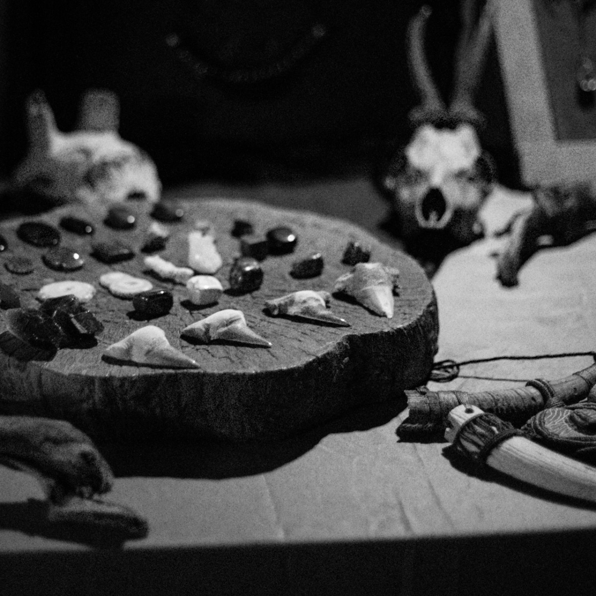 Attiva dell'Arte